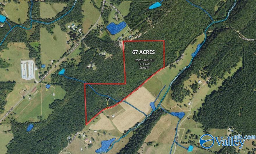 68 Acres County Road 223, Collinsville, Alabama image 2