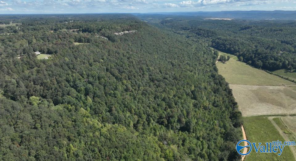 68 Acres County Road 223, Collinsville, Alabama image 5