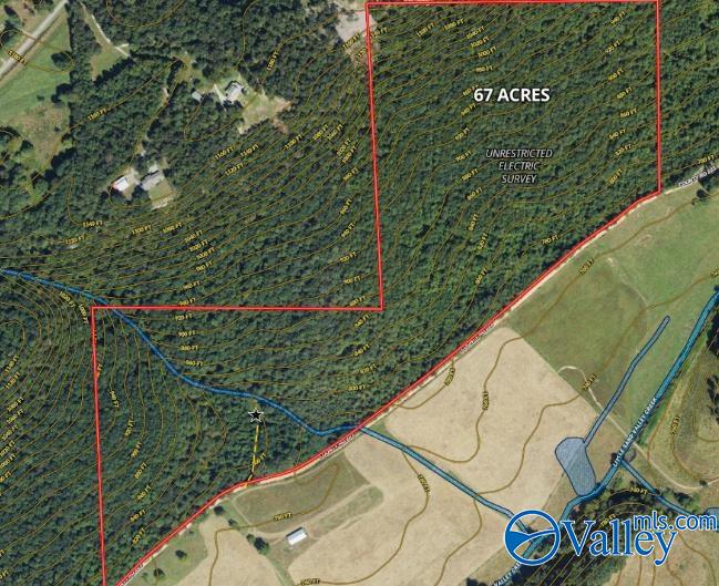 68 Acres County Road 223, Collinsville, Alabama image 13