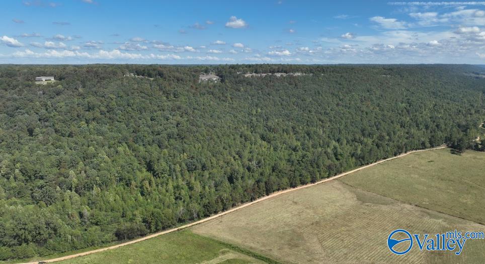 68 Acres County Road 223, Collinsville, Alabama image 8
