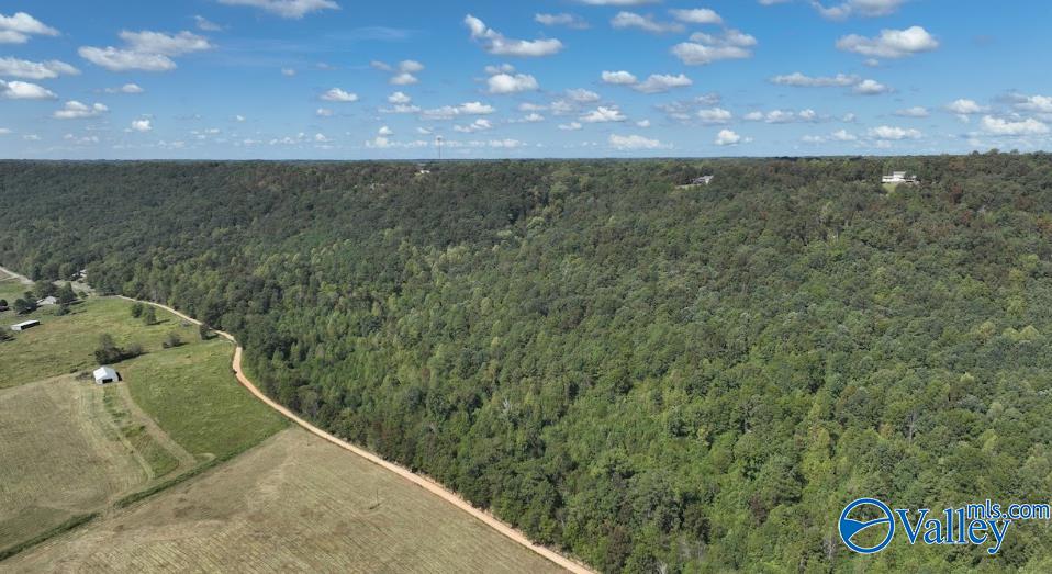 68 Acres County Road 223, Collinsville, Alabama image 7