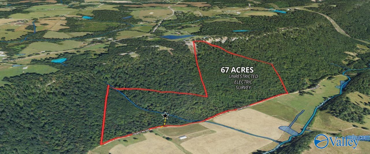 68 Acres County Road 223, Collinsville, Alabama image 14