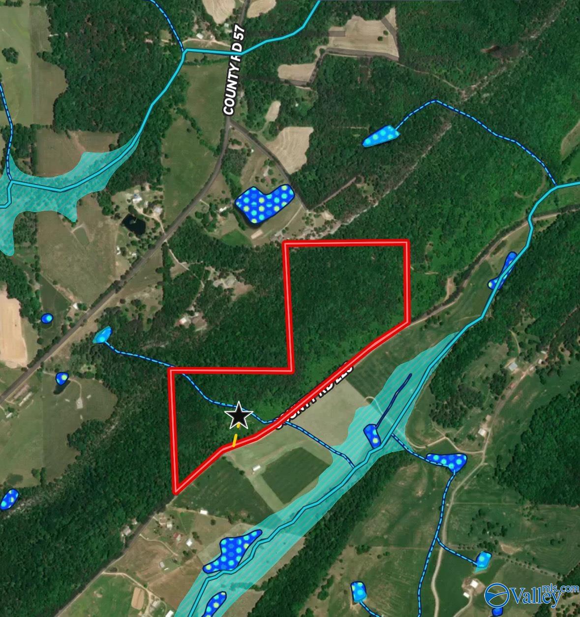 68 Acres County Road 223, Collinsville, Alabama image 2