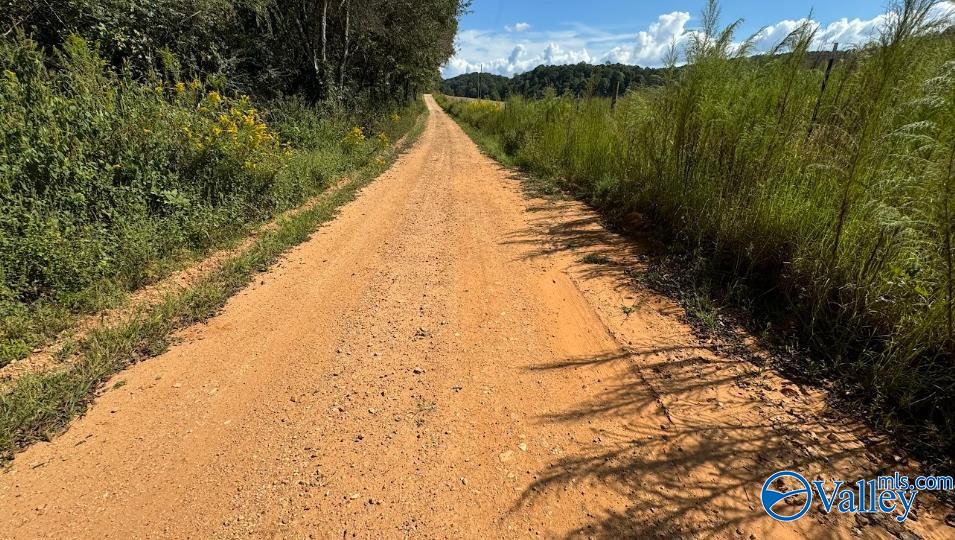 68 Acres County Road 223, Collinsville, Alabama image 11