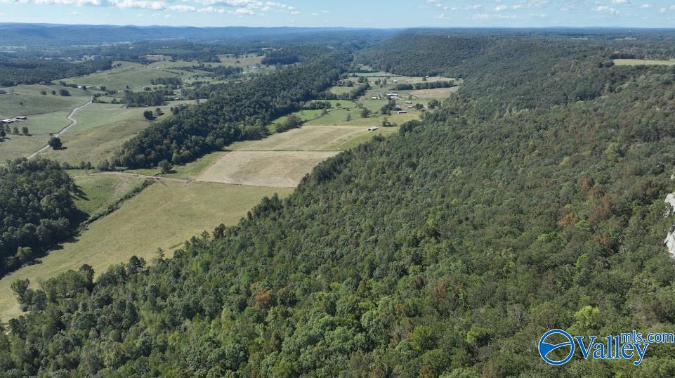 68 Acres County Road 223, Collinsville, Alabama image 6