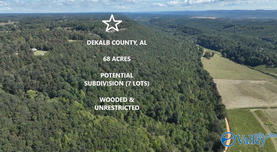68 Acres County Road 223, Collinsville, Alabama image 1