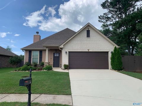 Photo of 184 Summer Pointe Lane, Madison, AL 35757 (MLS # 21919379)
