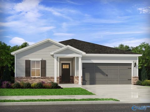 29573 Gallows Cove Harvest AL 35749