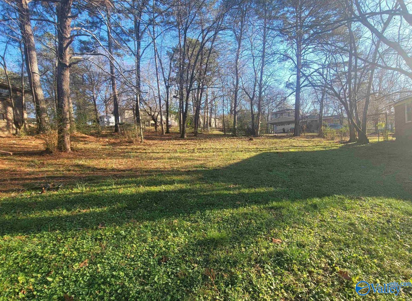 0.46 Ac Lovejoy Place, Gadsden, Alabama image 1