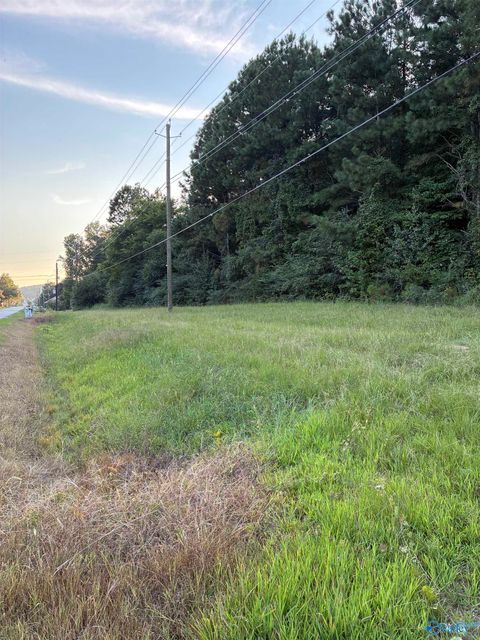 Vacant Land For Sale - UNIT 21428411 Main Street #21428411<br/> Etowah County, Altoona, AL 35952