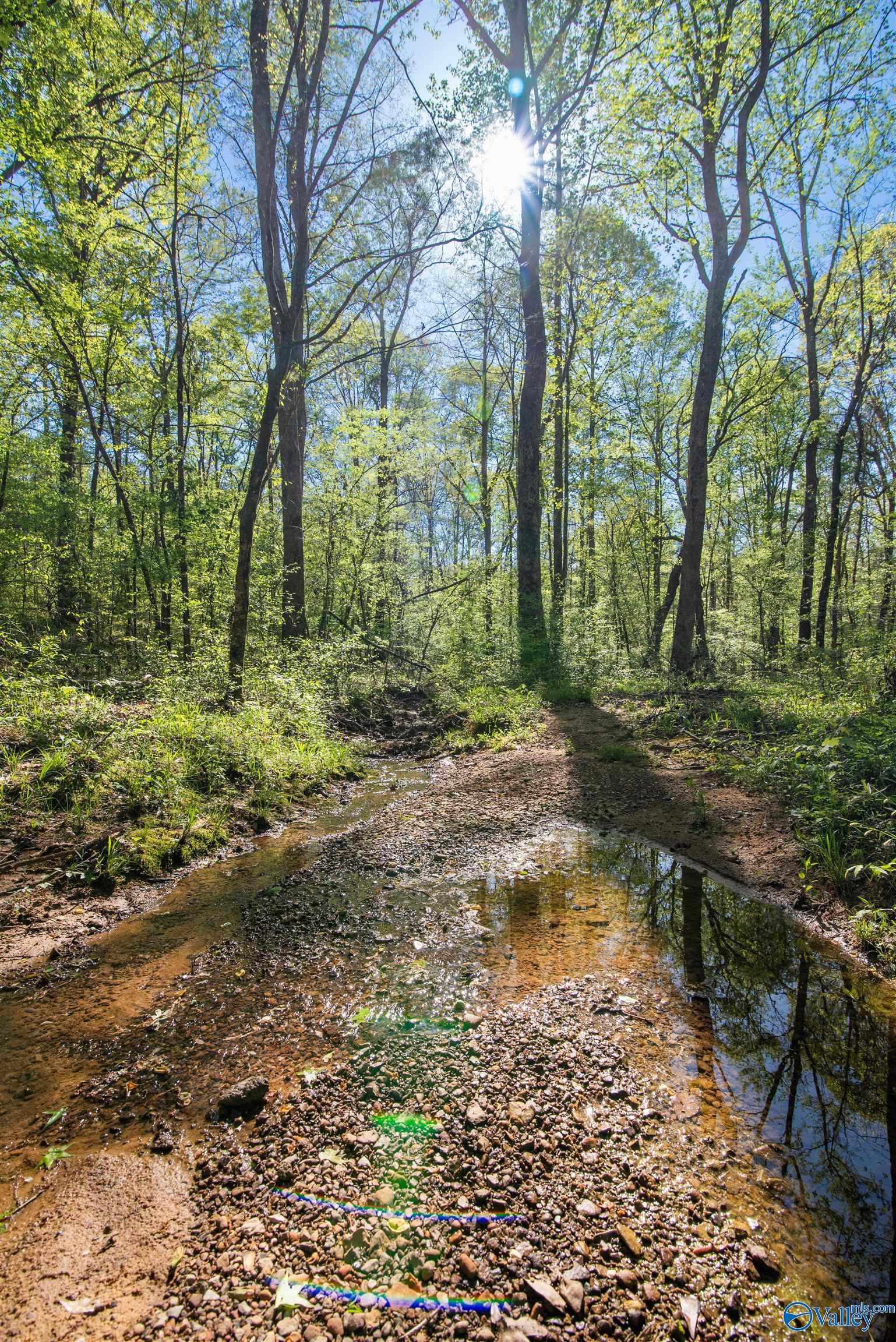 LOT 28 County Road 279, Moulton, Alabama image 7