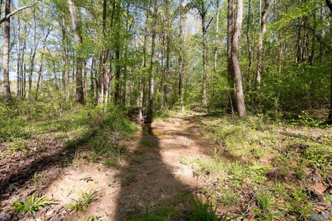Vacant Land For Sale - LOT 28 County Road 279<br/> Moulton, AL 35650