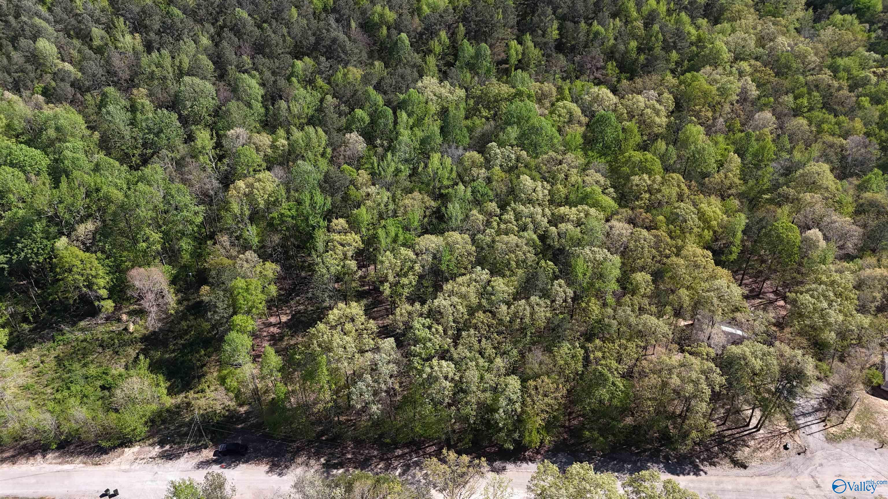 LOT 28 County Road 279, Moulton, Alabama image 17
