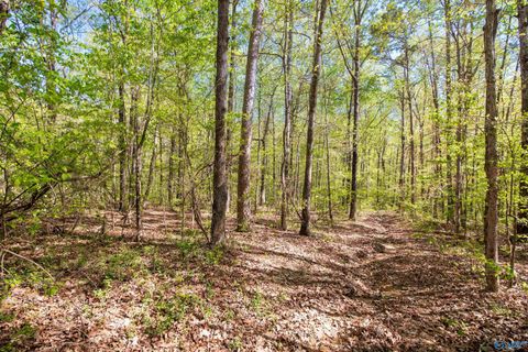 Vacant Land For Sale - LOT 28 County Road 279<br/> Moulton, AL 35650