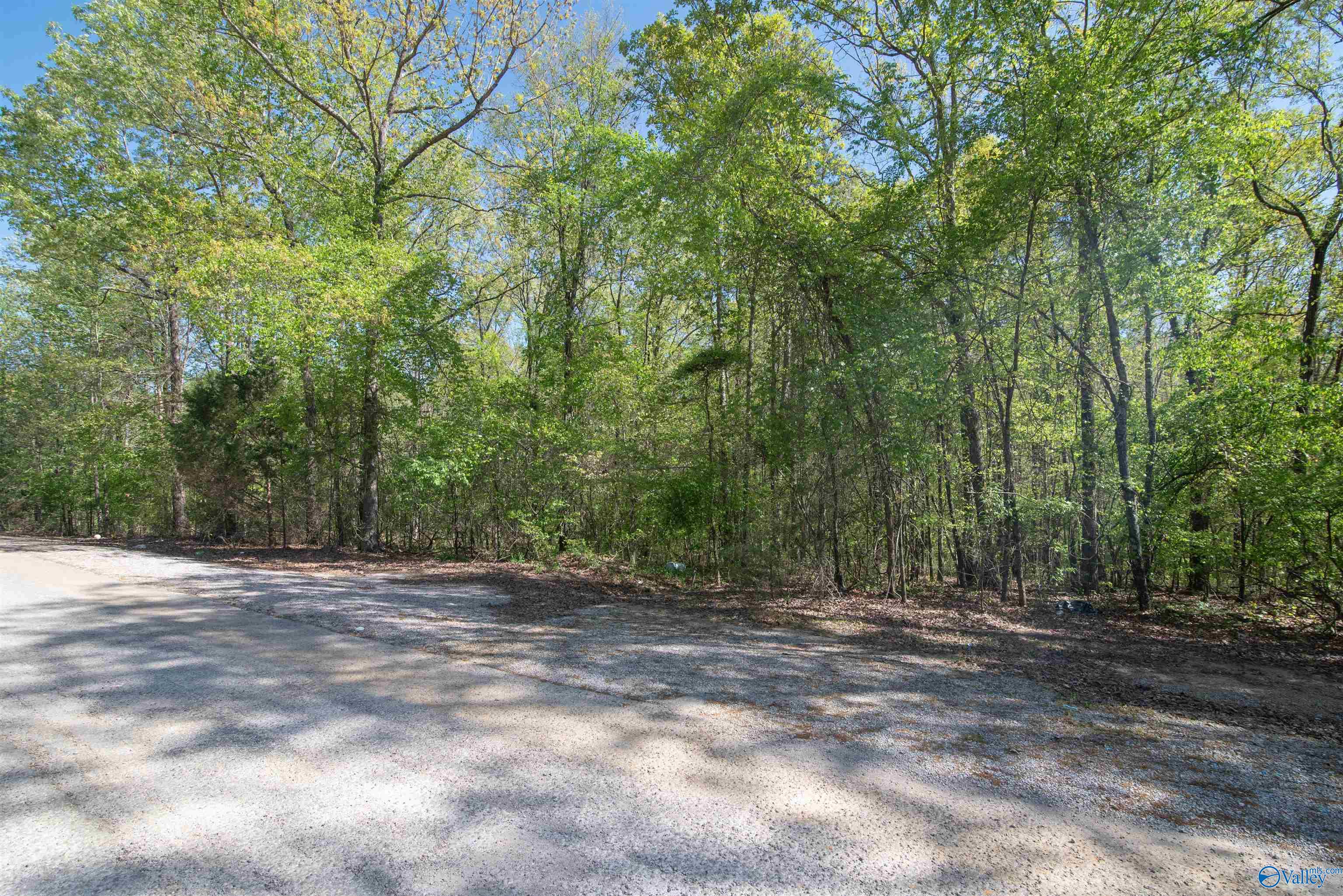 LOT 28 County Road 279, Moulton, Alabama image 2