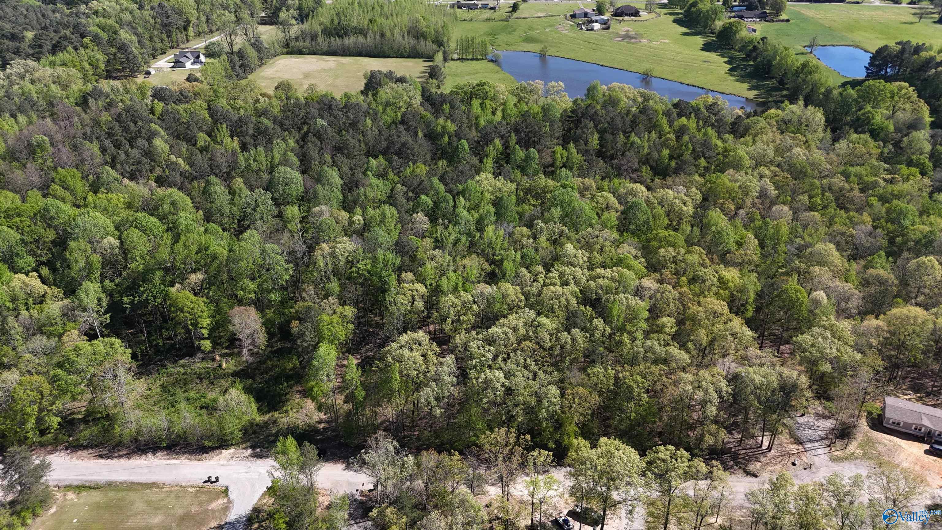 LOT 28 County Road 279, Moulton, Alabama image 3