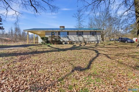 Homes For Sale - 2801 County Road 96<br/> Stevenson, AL 35772