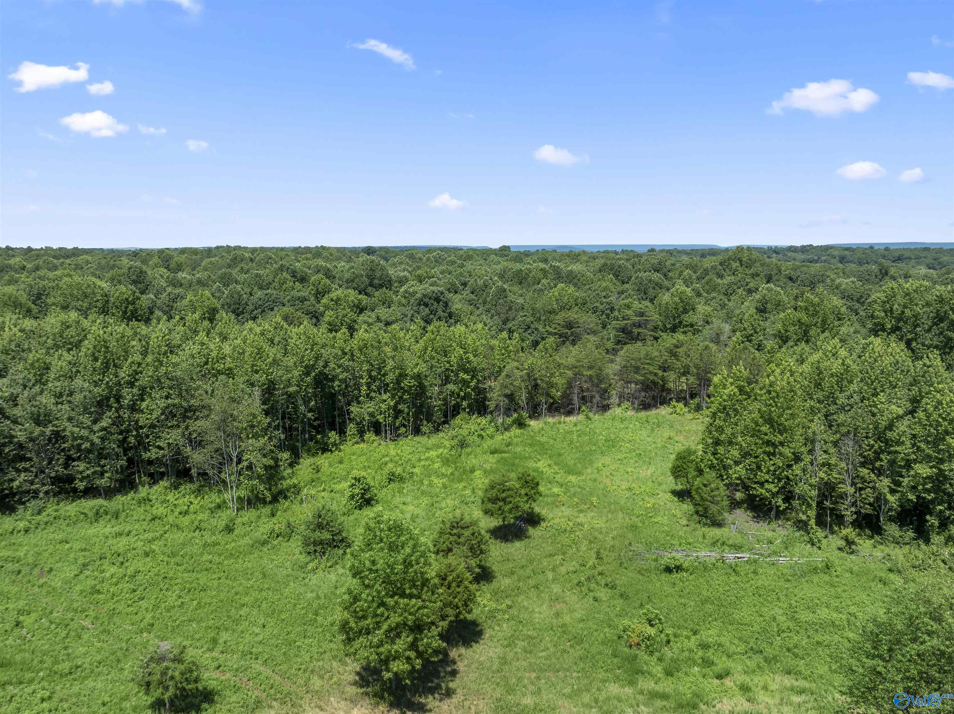 5.85 Acres Esslinger Road, Grant, Alabama image 12