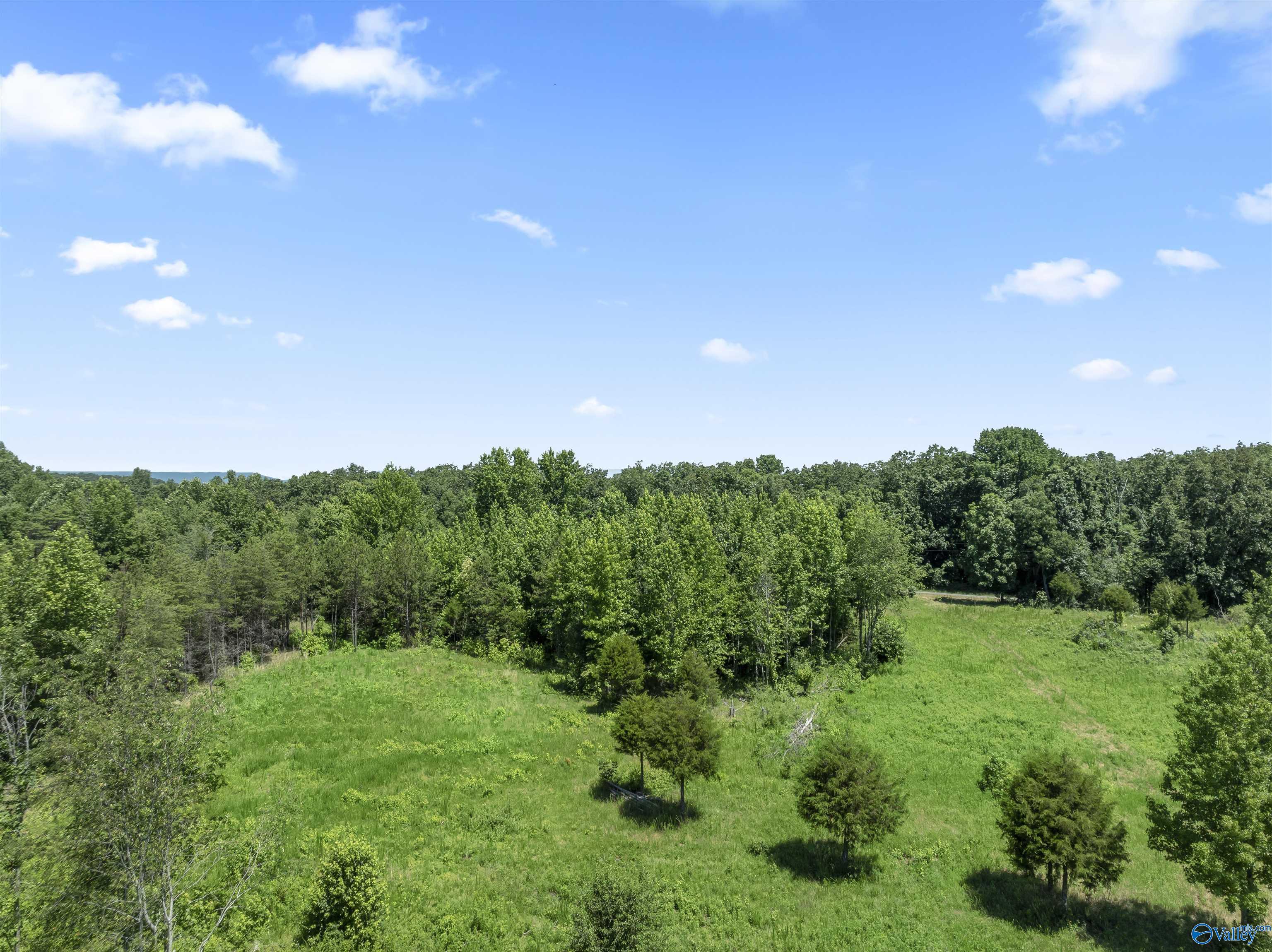 5.85 Acres Esslinger Road, Grant, Alabama image 11