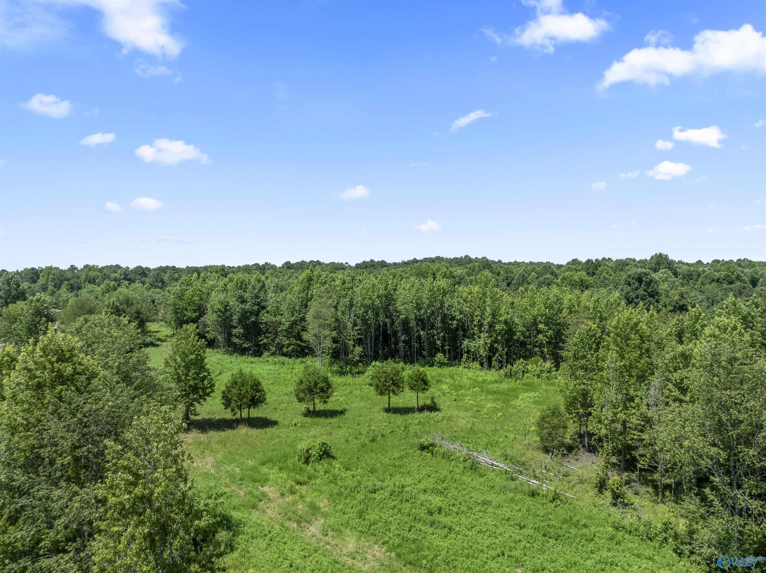 5.85 Acres Esslinger Road, Grant, Alabama image 13