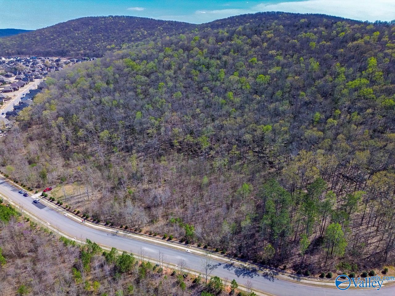 Pin 524521 School Road, Owens Cross Roads, Alabama image 19