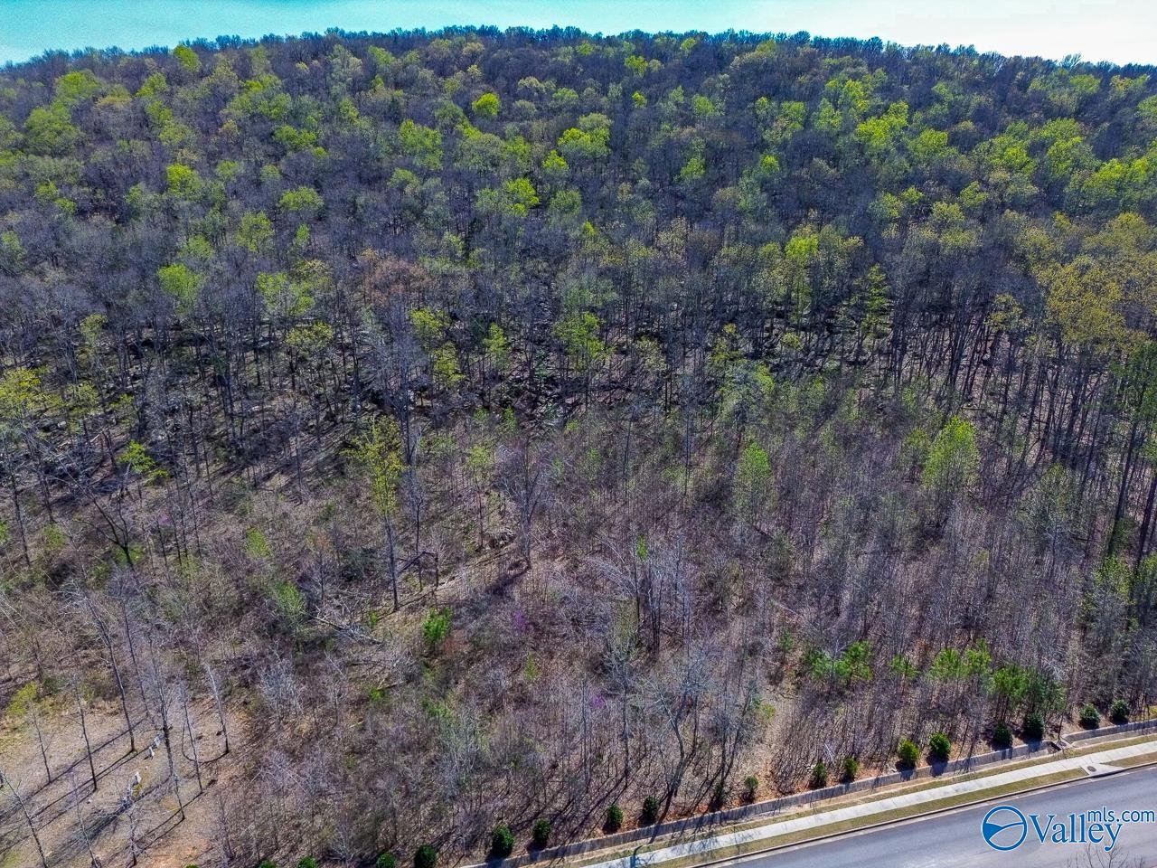 Pin 524521 School Road, Owens Cross Roads, Alabama image 1