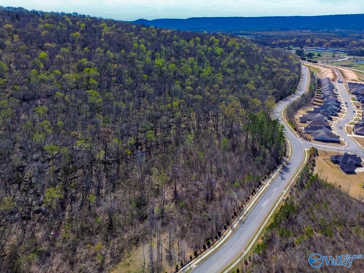 Pin 524521 School Road, Owens Cross Roads, Alabama image 12