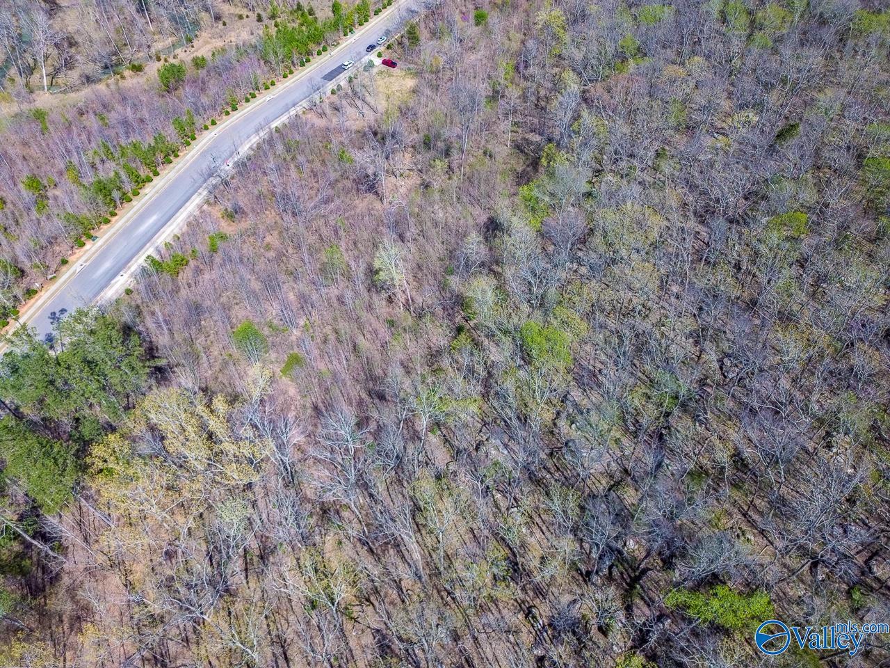 Pin 524521 School Road, Owens Cross Roads, Alabama image 11