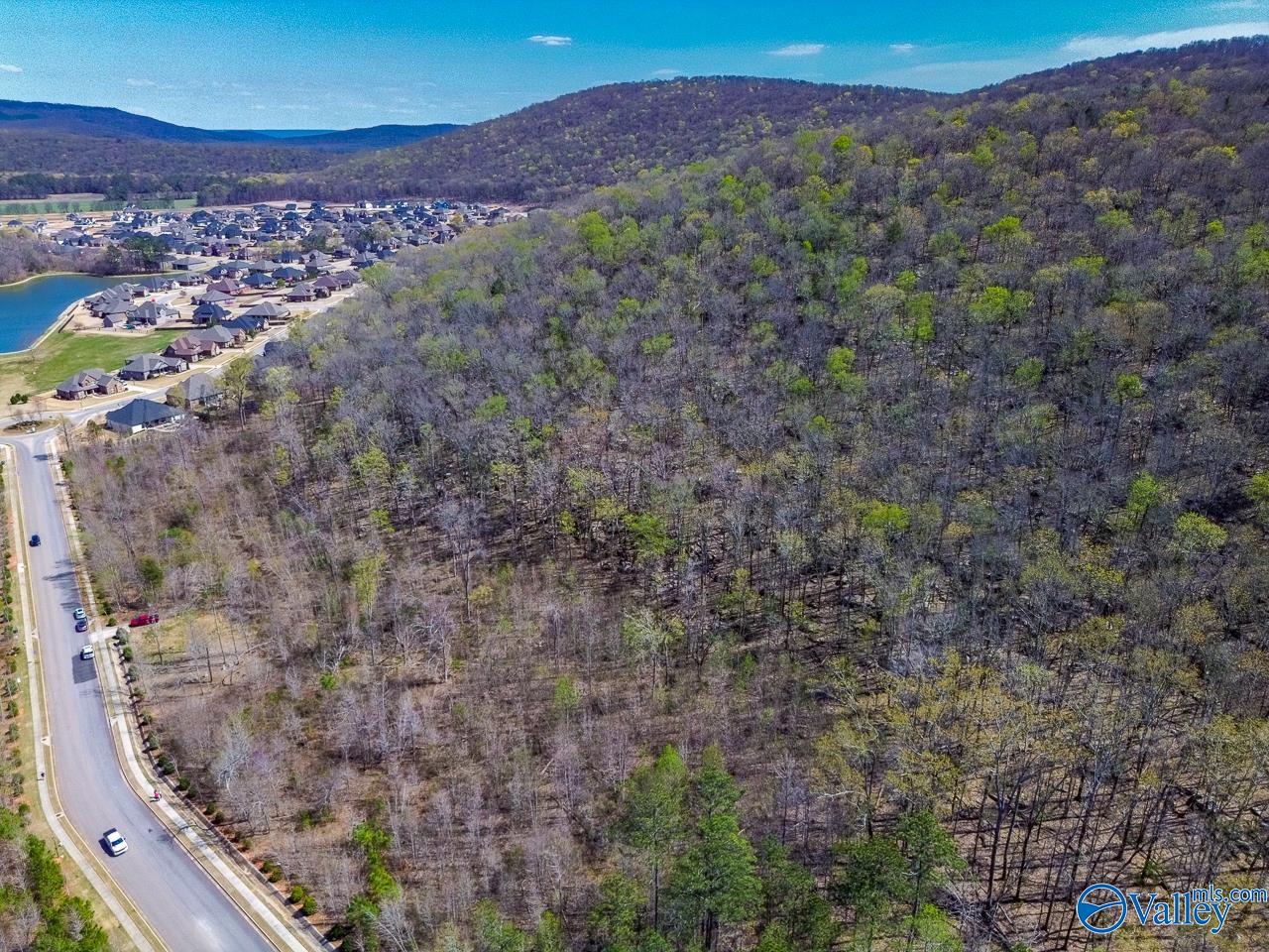 Pin 524521 School Road, Owens Cross Roads, Alabama image 7