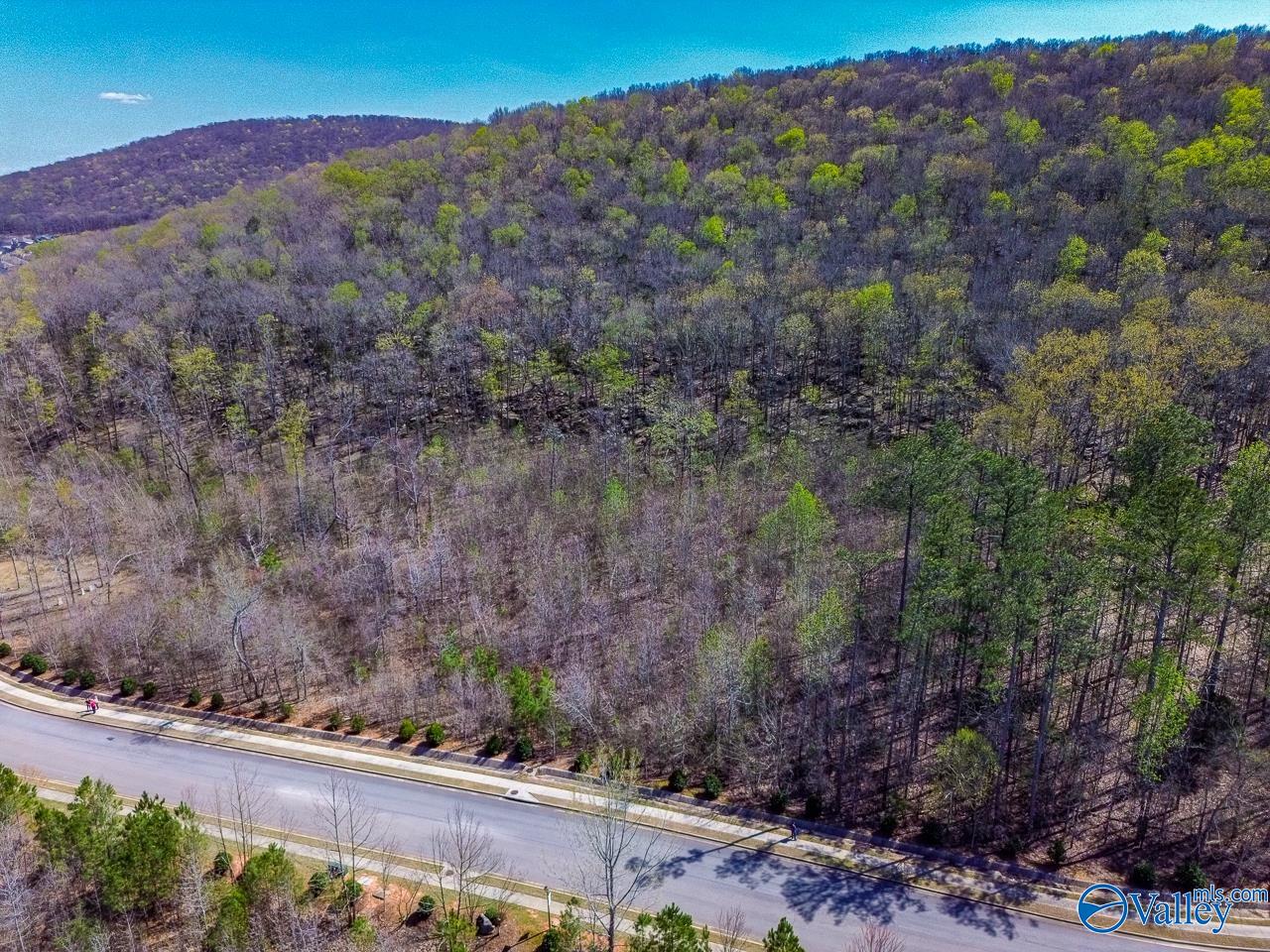 Pin 524521 School Road, Owens Cross Roads, Alabama image 4