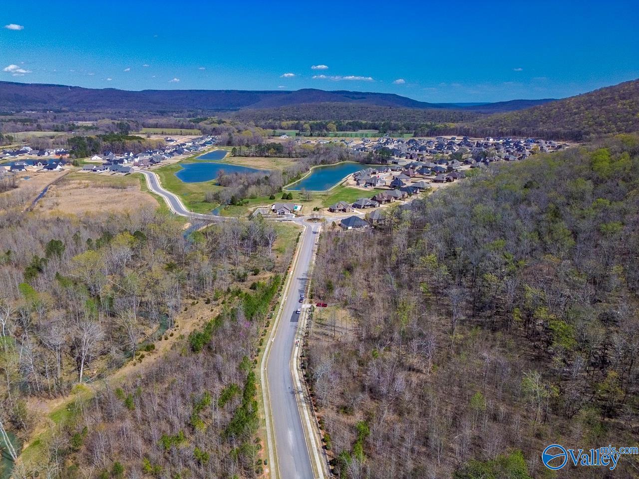 Pin 524521 School Road, Owens Cross Roads, Alabama image 21