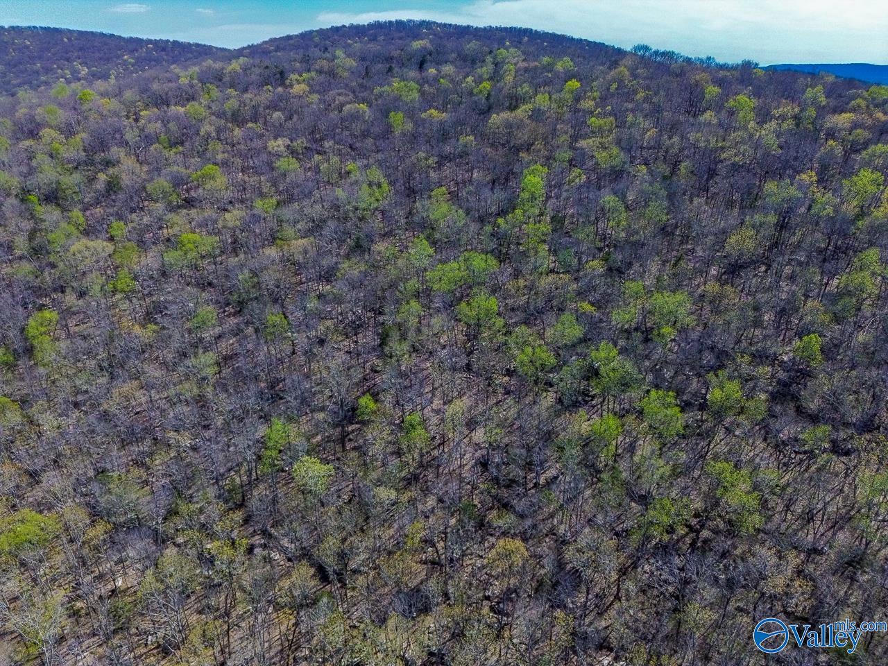 Pin 524521 School Road, Owens Cross Roads, Alabama image 9