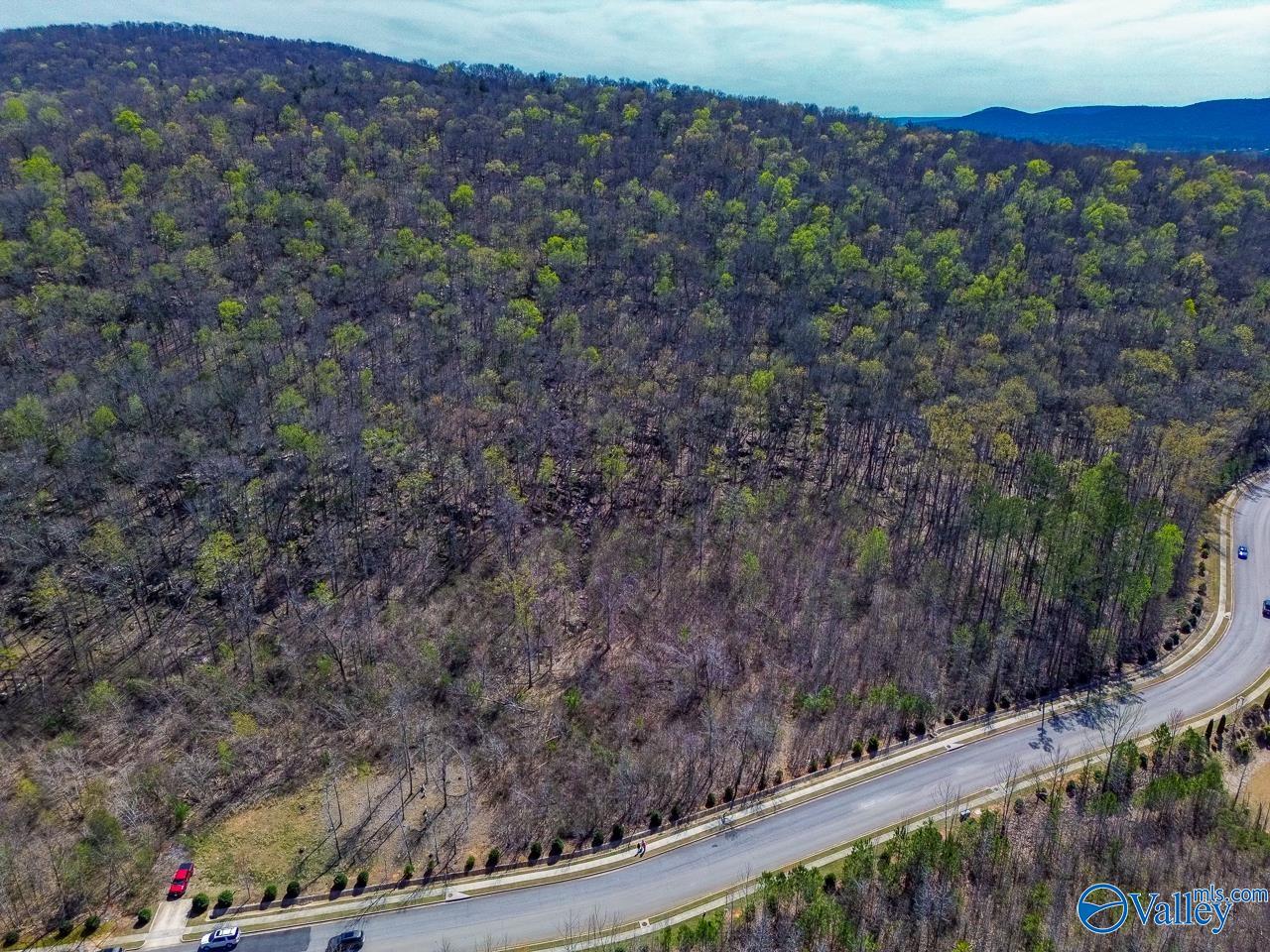 Pin 524521 School Road, Owens Cross Roads, Alabama image 17