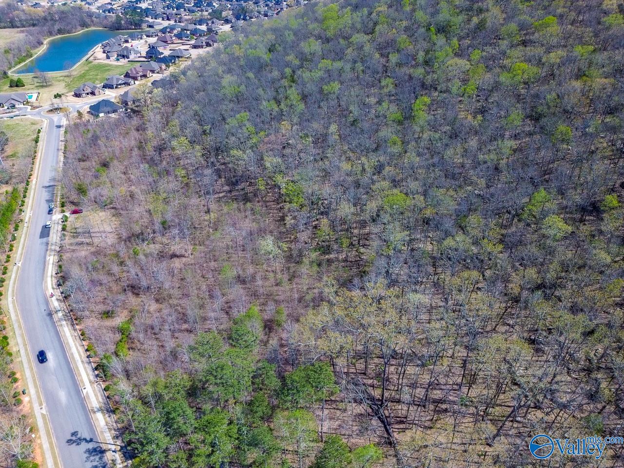 Pin 524521 School Road, Owens Cross Roads, Alabama image 8
