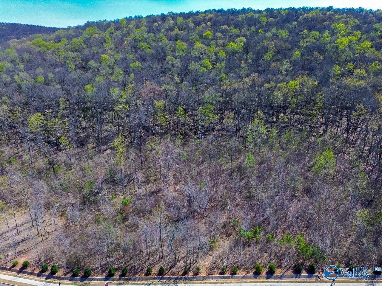 Pin 524521 School Road, Owens Cross Roads, Alabama image 2