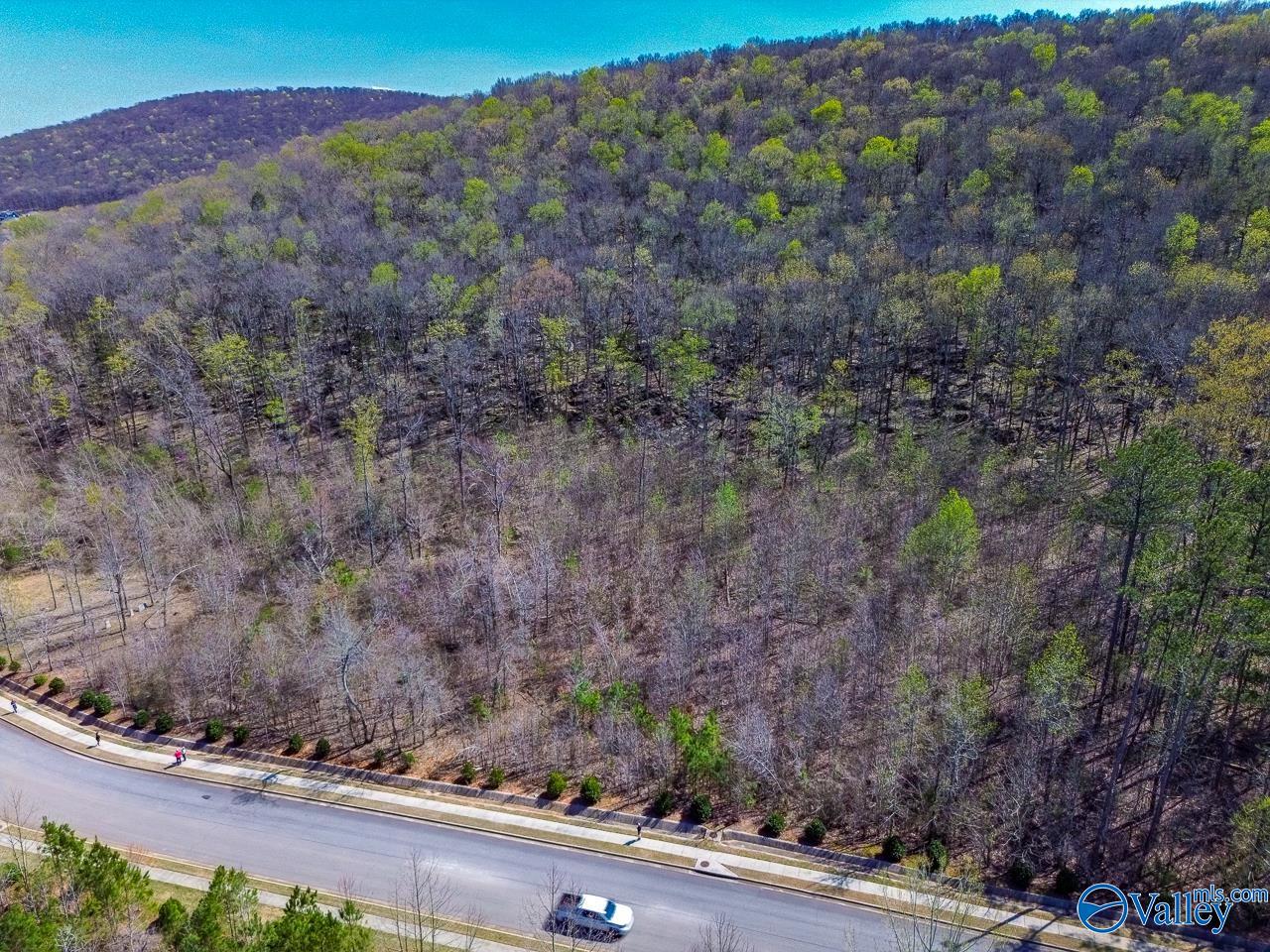 Pin 524521 School Road, Owens Cross Roads, Alabama image 3