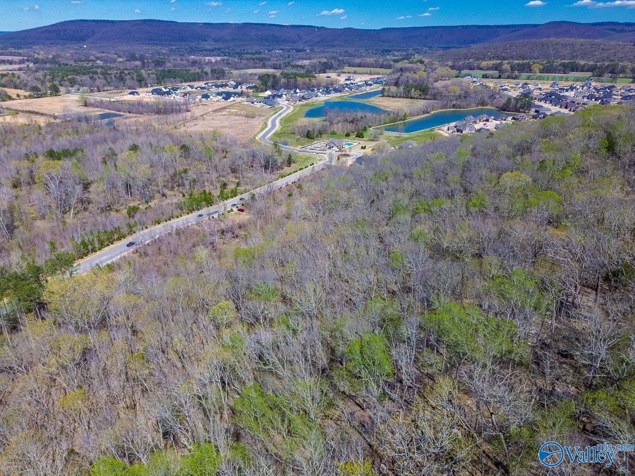 Pin 524521 School Road, Owens Cross Roads, Alabama image 10