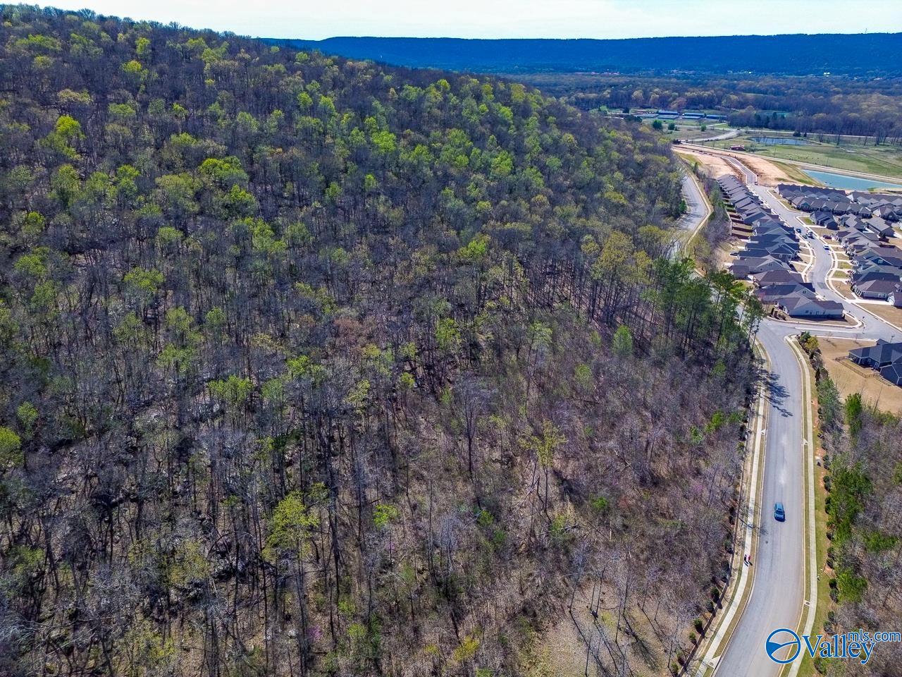 Pin 524521 School Road, Owens Cross Roads, Alabama image 15
