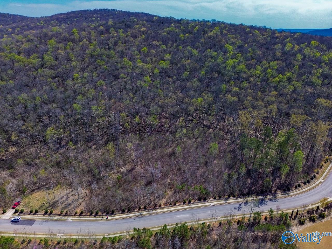 Pin 524521 School Road, Owens Cross Roads, Alabama image 18