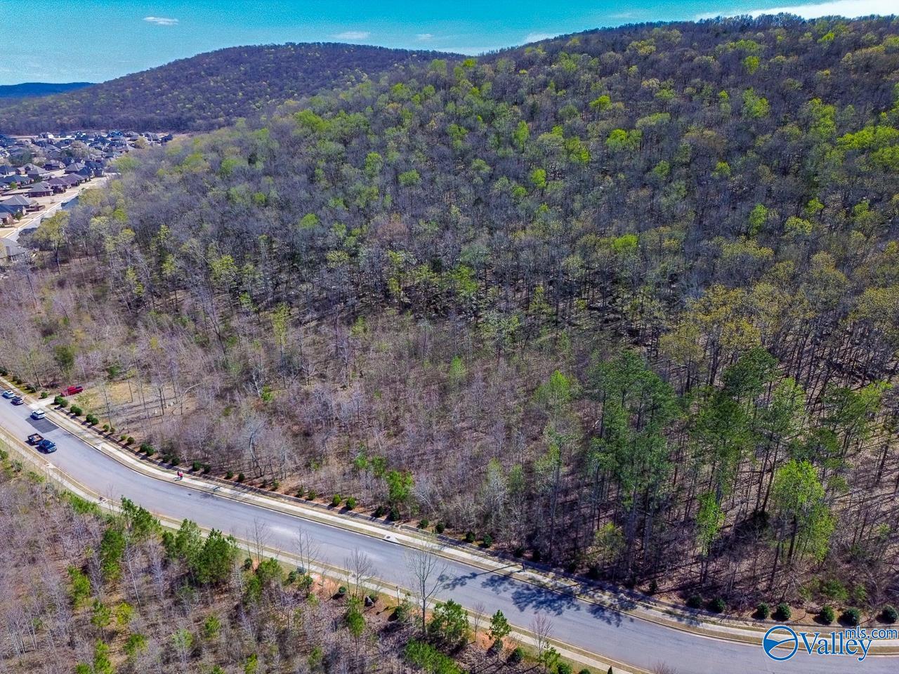 Pin 524521 School Road, Owens Cross Roads, Alabama image 6