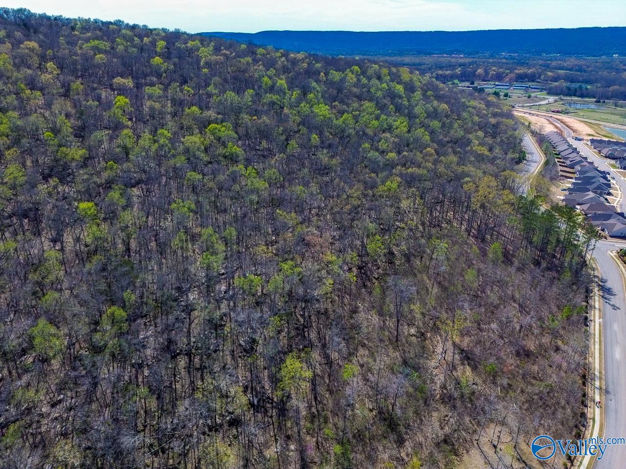 Pin 524521 School Road, Owens Cross Roads, Alabama image 13