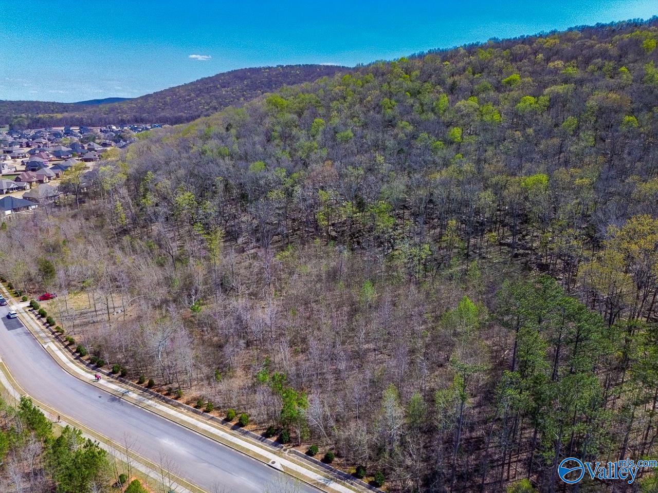 Pin 524521 School Road, Owens Cross Roads, Alabama image 5