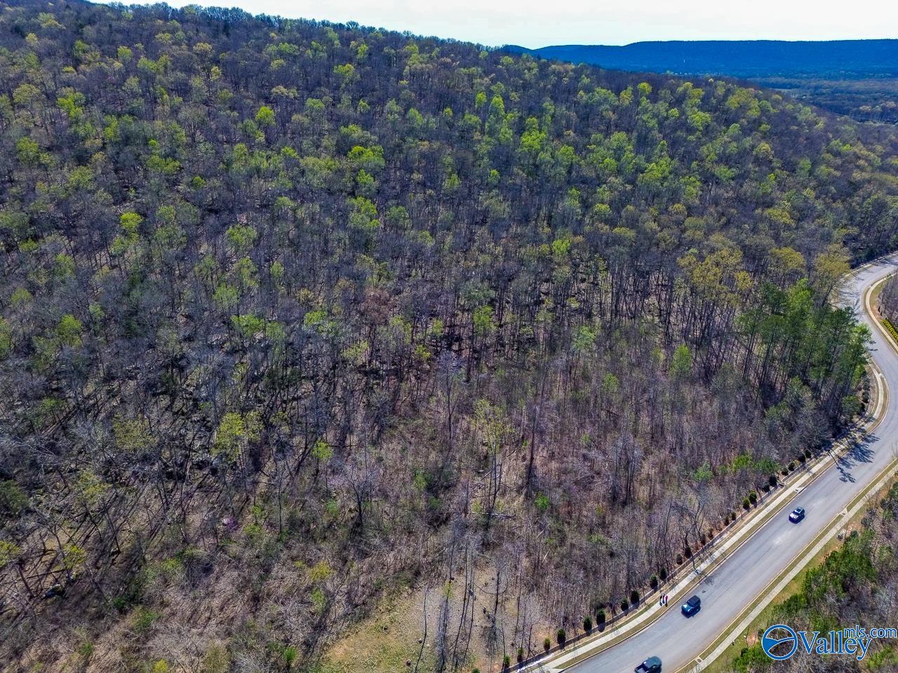 Pin 524521 School Road, Owens Cross Roads, Alabama image 16