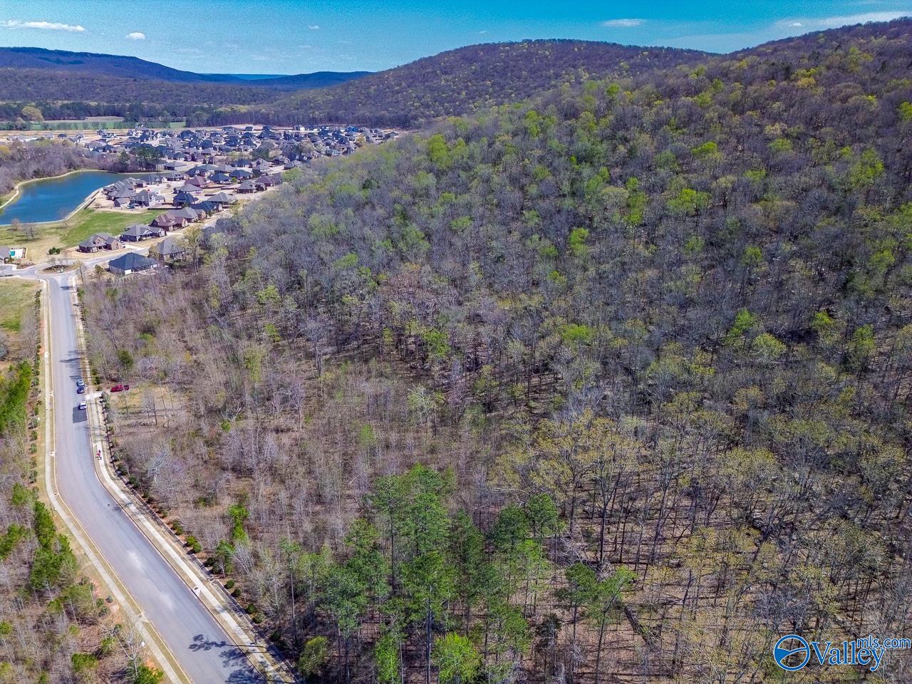 Pin 524521 School Road, Owens Cross Roads, Alabama image 20