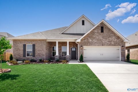 Homes For Sale - 134 Pike Ackert Road<br/> Meridianville, AL 35759