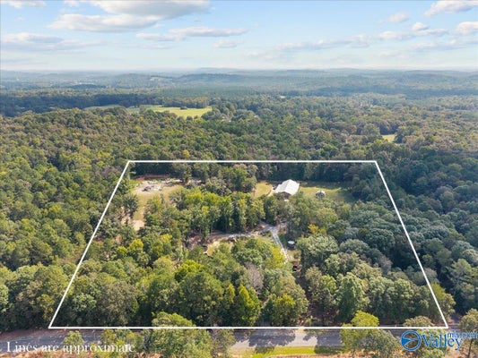700 WILDWOOD RD, PELL CITY, AL 35125 - Image 3e1c6bee5c30f64f065c3b52026c1c99/1540545841