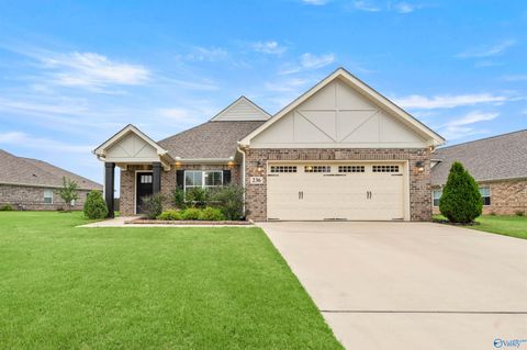 Photo of 236 Dustin Lane NW, Madison, AL 35757 (MLS # 21919348)