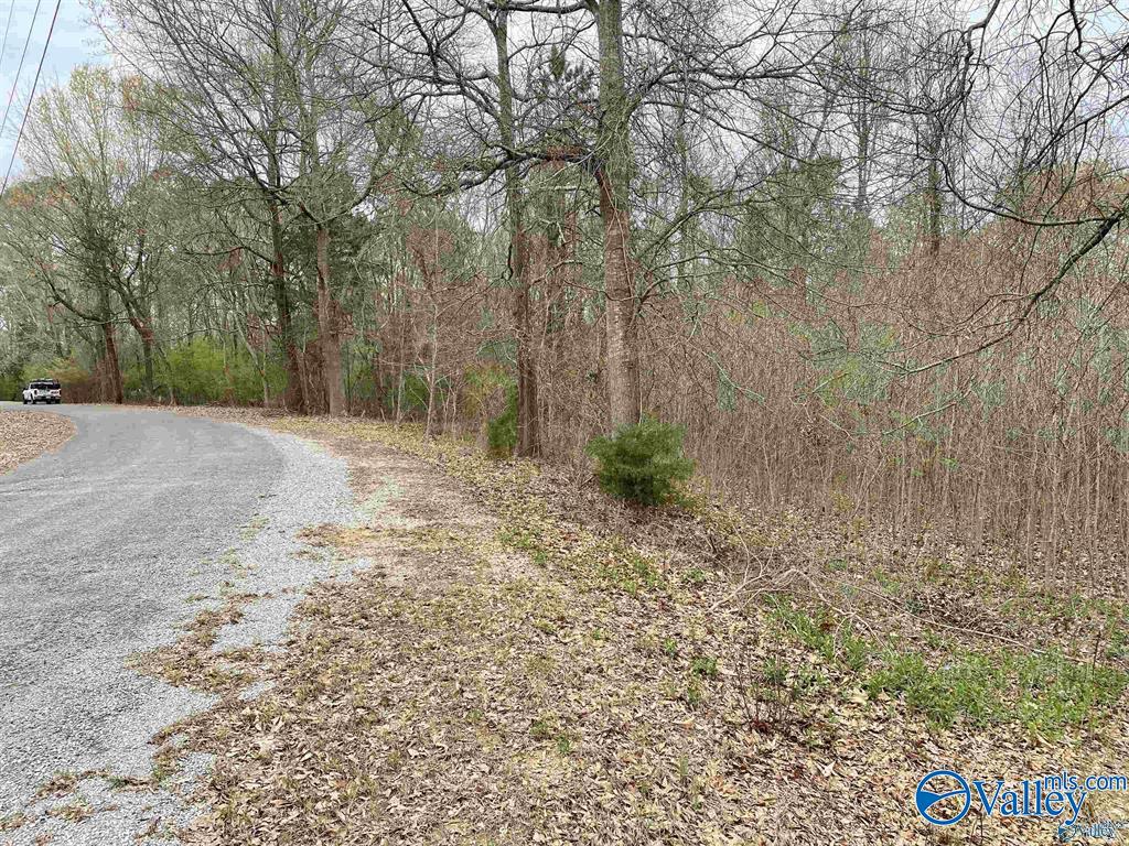 10 Scenic Drive, Hollywood, Alabama image 11