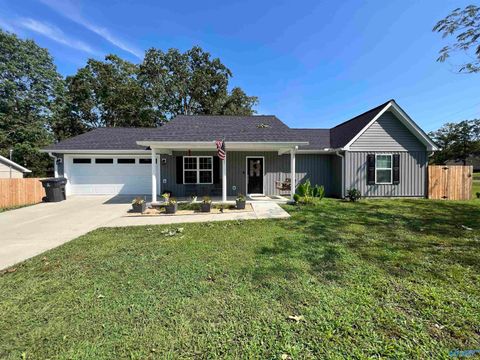 Homes For Sale - 255 Henson Street<br/> Cherokee County, Centre, AL 35960
