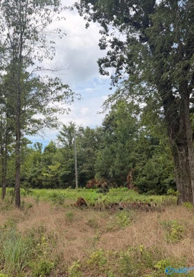 59 COUNTY RD 32, FORT PAYNE, AL 35967 - Image 3e6cc74d74c95db591db8d4b6b0ab89d/2106968134
